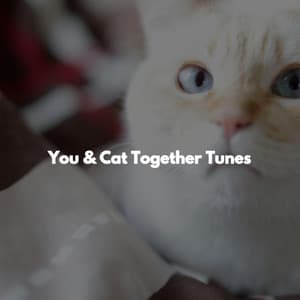 You & Cat Together Tunes - Jazz zum Studieren Klassiker