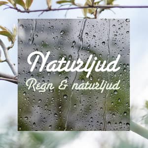 Regn & naturljud - Naturljud