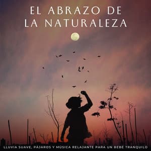 El Abrazo De La Naturaleza: Lluvia Suave, Pájaros Y Música Relajante Para Un Bebé Tranquilo - Deja que llueva