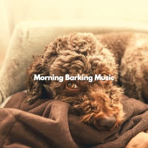 Morning Barking Music - Music for Dogs Moments