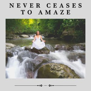 Never Ceases to Amaze - Relaxing Music for Stress Relief