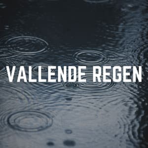 Vallende Regen - Geluiden van de Regen