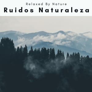 1001 Ruidos Naturaleza - Naturaleza Sonidos