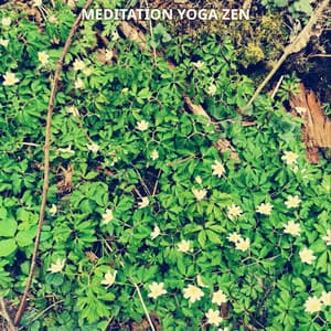 #1 Meditation Yoga Zen Inner Peace No. 2 - Meditation Music