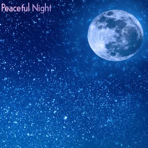 Peaceful Night - Deep Sleep Meditation