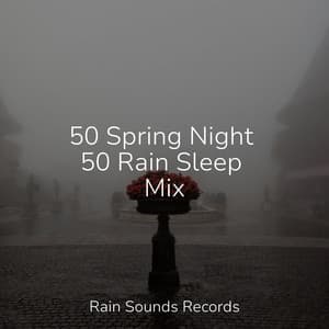 50 Spring Night 50 Rain Sleep Mix - Relax Meditate Sleep