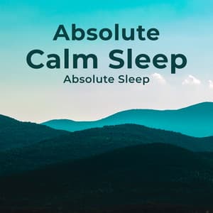 Absolute Calm Sleep - Absolute Sleep