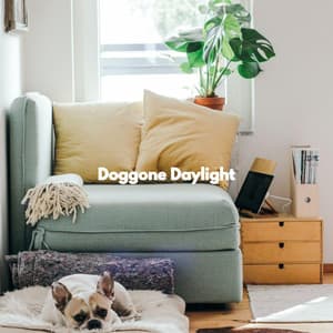 Doggone Daylight - Dog Music Therapy