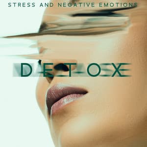Stress and Negative Emotions Detox: New Age Peaceful Melodies - Endless New Age Music Creator