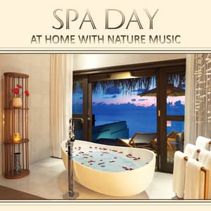 Spa Day at Home with Nature Music: Wellness Moment, Yoga, Mantra, Deep Sleep, Relaxing Time, Chakra Balancing, Soothing Tracks, Yin Yang, New Age, Massage - Day Spa Academy