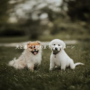 犬と過ごす朝のまったりチューン - Musica Rilassante & Benessere