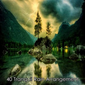 40 Tranquil Rain Arrangement - Thunder Storm