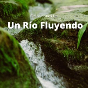 Grabaciones De Un Río Fluyendo - Sonidos de agua Ruido blanco natural