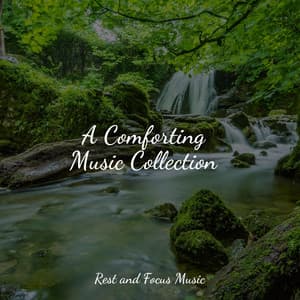 A Comforting Music Collection - Preschool Kids