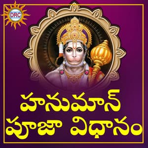 Hanuman Pooja Vidhanam - Krishna