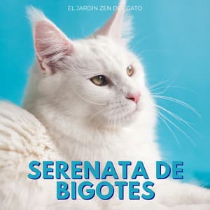 Serenata De Bigotes: El Jardín Zen Del Gato - Elemento bella
