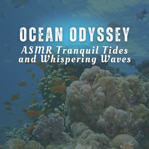 Ocean Odyssey: ASMR Tranquil Tides and Whispering Waves - Beach Wave Explosion