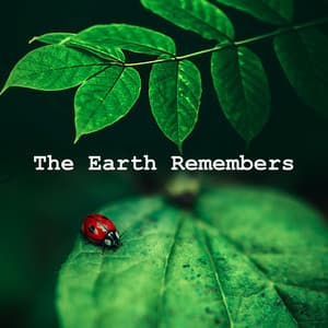 The Earth Remembers - NatuREM