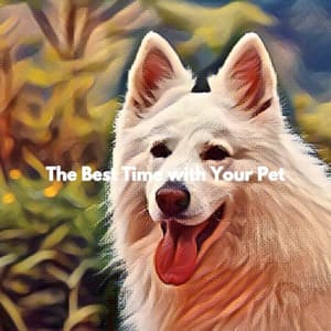 The Best Time with Your Pet - Musica di Sottofondo Jazz
