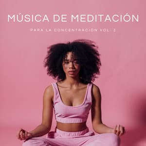 Música De Meditación Para La Concentración Vol. 2 - Playlist Música para Dormir