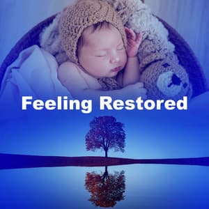 Feeling Restored - Relax My Kitten