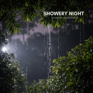 Showery Night - Robin Gardner