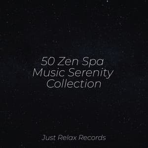 50 Zen Spa Music Serenity Collection - Zen