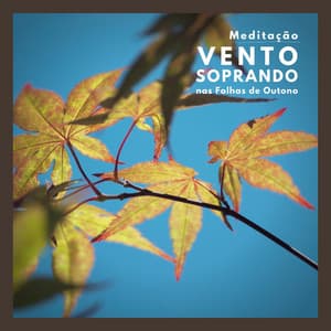 Meditação: Vento Soprando nas Folhas de Outono - Meditação Música Ambiente