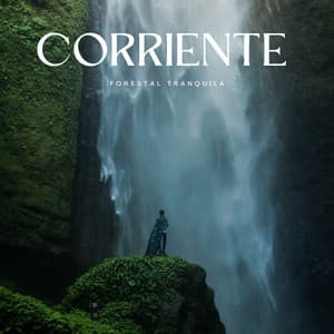 Corriente Forestal Tranquila - Camino del agua