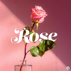 The song of the morning when the spring breeze blows - BGM Teacher