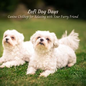 Lofi Dog Days: Canine Chillhop for Relaxing with Your Furry Friend - Lofi Nation