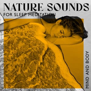 Nature Sounds for Sleep Meditation - Serenity Music Academy