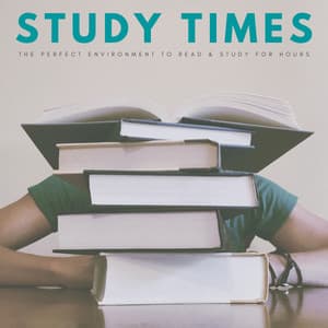 Study Times: The Perfect Environment To Read & Study For Hours - Study