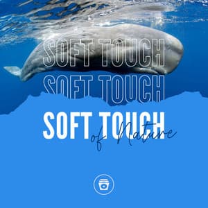 Soft Touch Of Nature - Sounds for Life