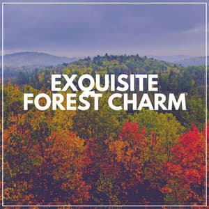Exquisite Forest Charm - Weather and Nature Recordings