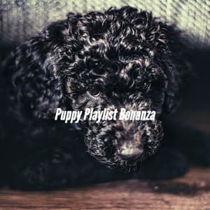 Puppy Playlist Bonanza - Relaxation Music For Dogs