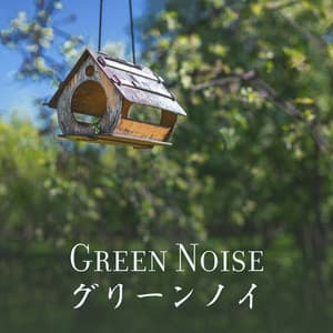 Green Noise グリーンノイズ - Birds From Nowhere