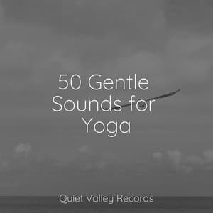 50 Gentle Sounds for Yoga - Ambiente