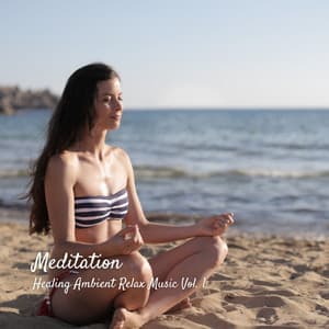 Meditation: Healing Ambient Relax Music Vol. 1 - Soothing Music