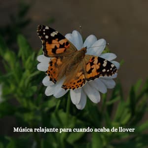 Música relajante para cuando acaba de llover - Smooth Jazz New York Collective