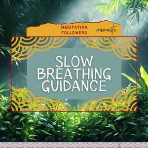 Slow Breathing Guidance - Meditation Followers