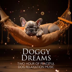 Doggy Dreams: Two Hour Of Peaceful Dog Relaxation Music - Pet Music Academy
