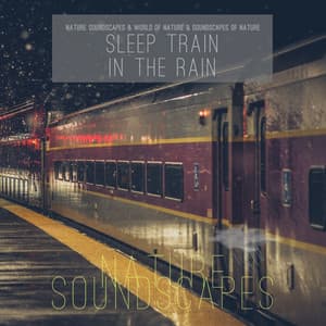 Sleep Train in the Rain - Nature Soundscapes