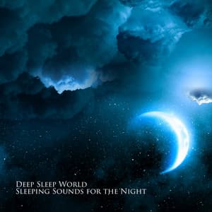 Deep Sleep World: Sleeping Sounds for the Night - Katy Dream