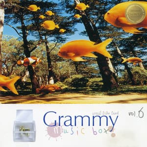 Champ Of Music Box, Vol. 6 - Music Box