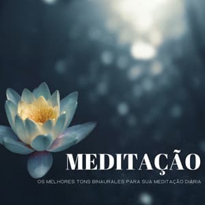 Meditação: Os Melhores Tons Binaurales Para Sua Meditação Diária - Balneario