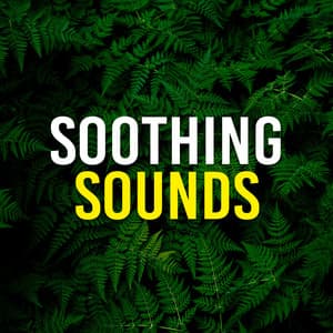 Soothing Sounds - Rest & Relax Nature Sounds Artists