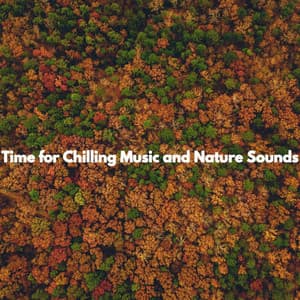 Time for Chilling Music and Nature Sounds - Música de Trabajo
