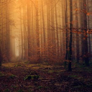 Moment in Nature - Ahzura