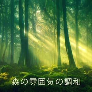 森の雰囲気の調和 - Forest Hills Music Universe